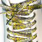 Shoe laces with black and yellow smiley face pattern on a white background