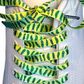 Green and yellow pickle patterned shoelaces on a white sneaker