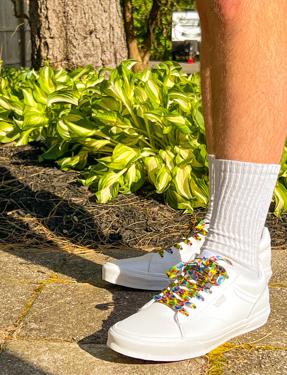 White sneakers with colorful wizards on a person standing on a sidewalk next to green plants.