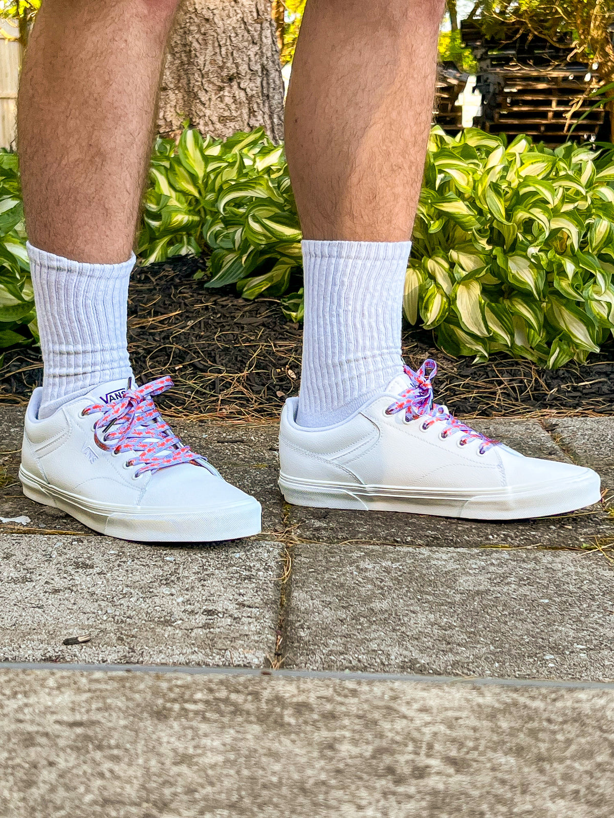 White sneakers with colorful and fun lobster shoelaces worn on a concrete surface with green plants in the background