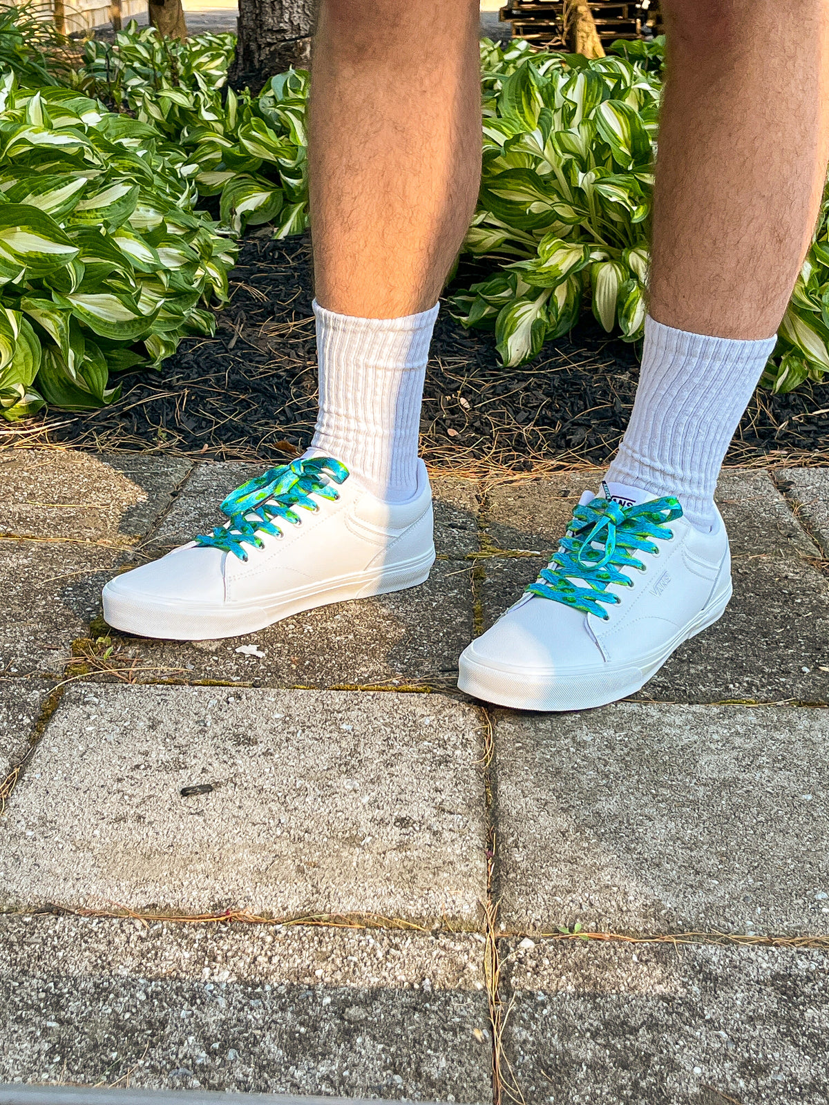 White sneakers with blue laces worn on a stone pavement with green plants in the background