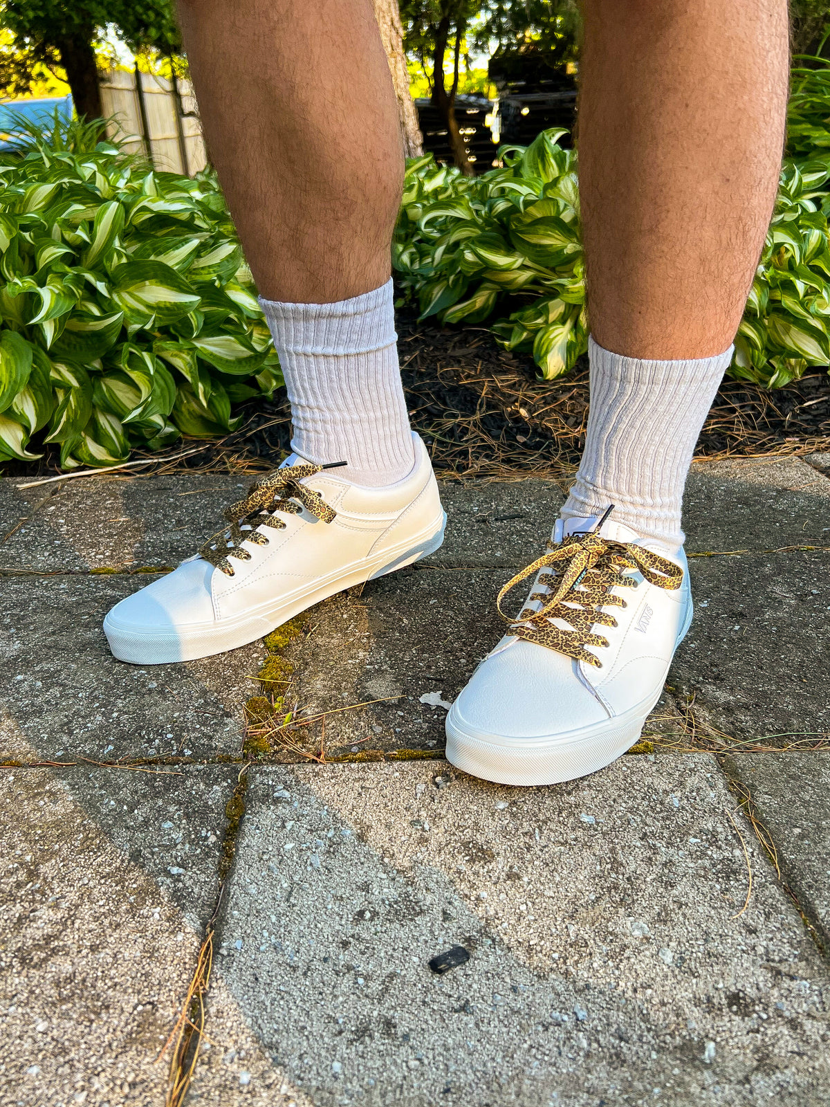 White sneakers with leopard print shoelaces worn on a stone pavement with greenery in the background