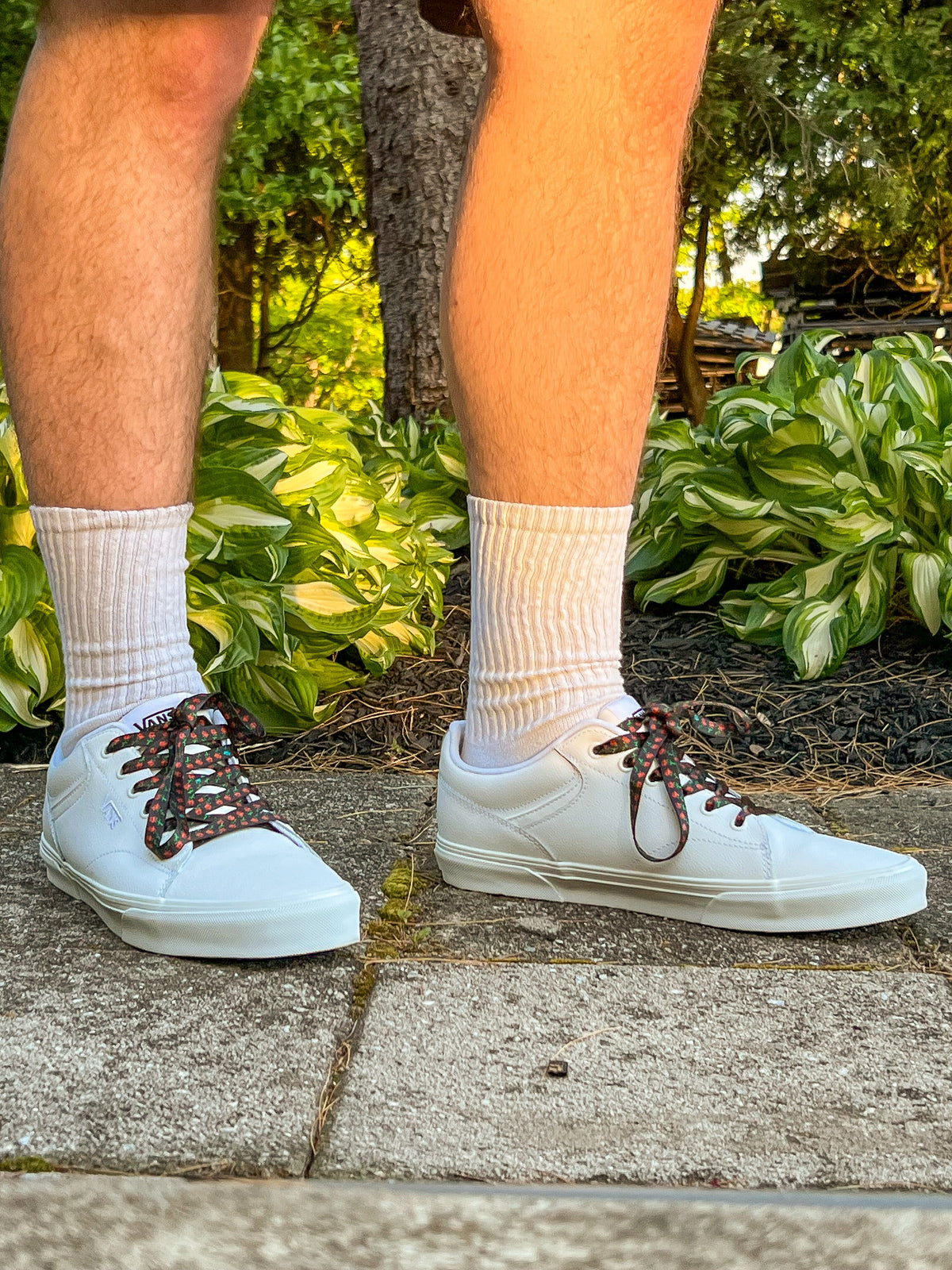 White sneakers with rose shoelaces  worn outdoors on a concrete surface with greenery in the background.