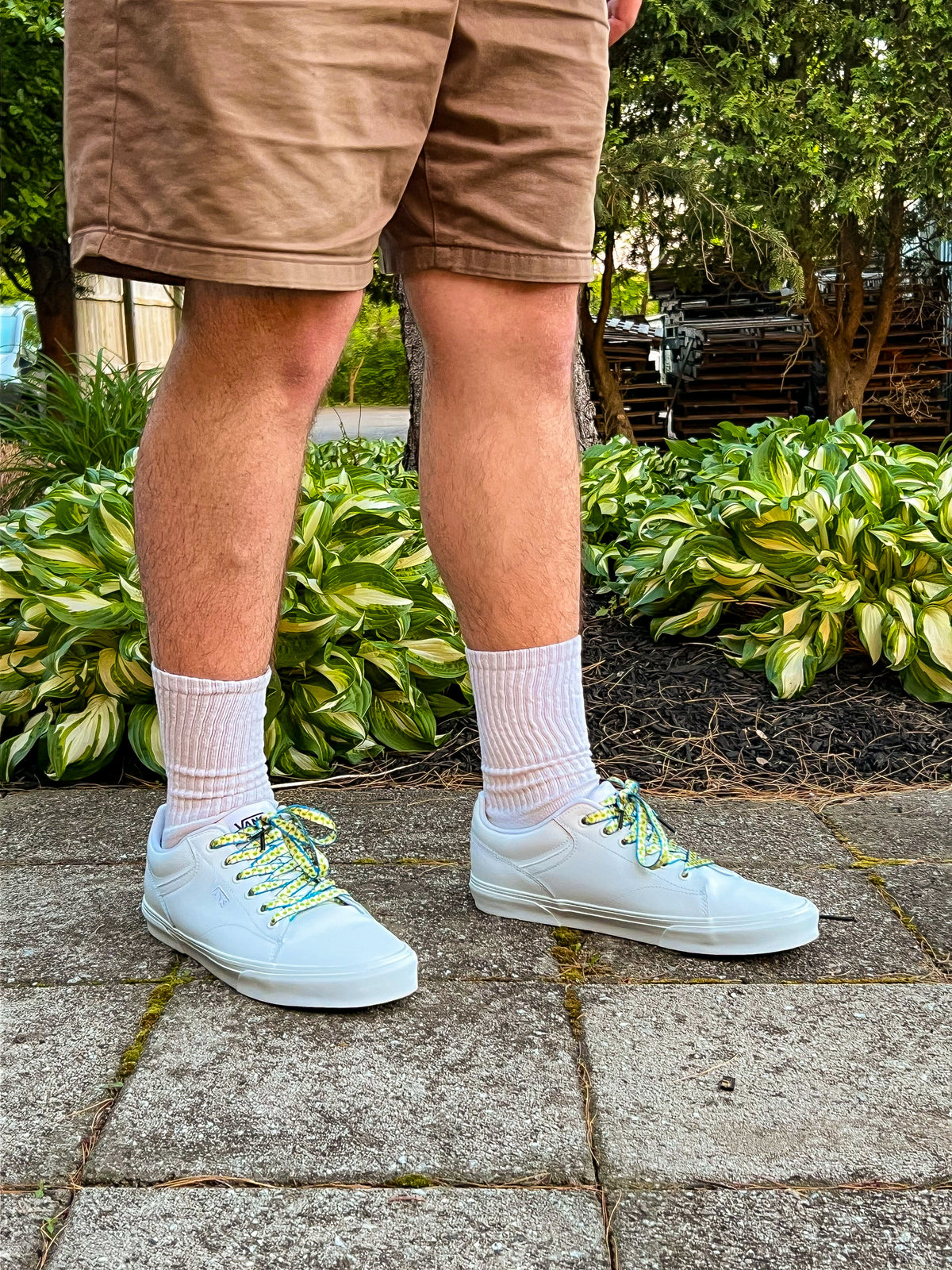 Person wearing white sneakers with colorful palm tree shoelaces standing on a paved area with green plants in the background.