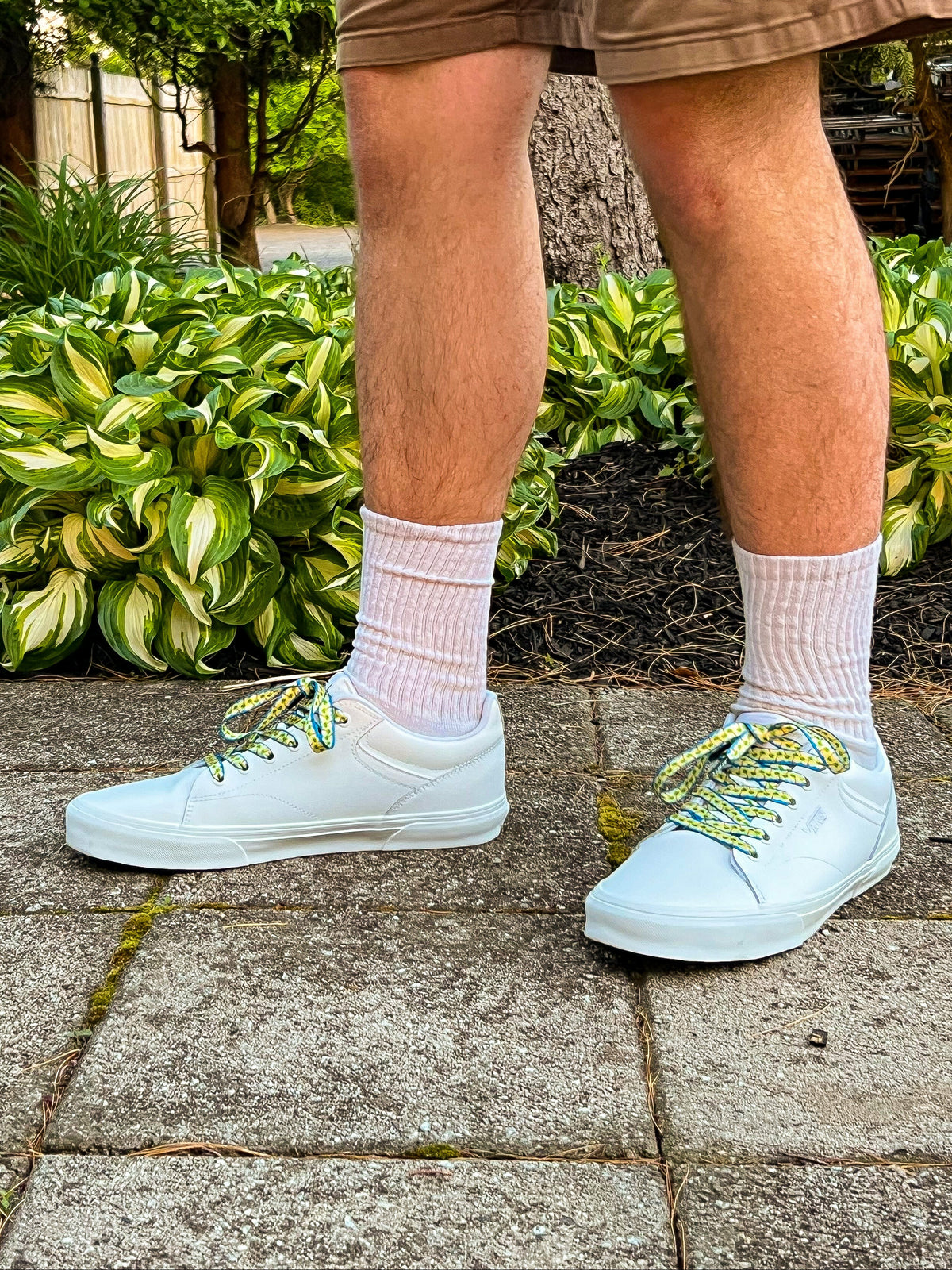 Person wearing brown shorts with  sneakers and colorful palm tree shoelaces on a paved walkway with greenery.