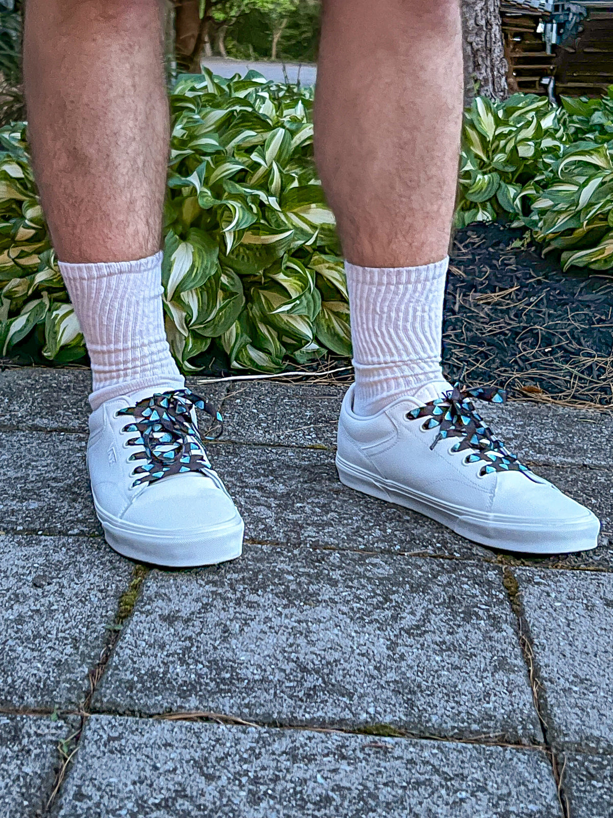 White sneakers with diamond patterned shoelaces worn on a stone path with greenery in the background