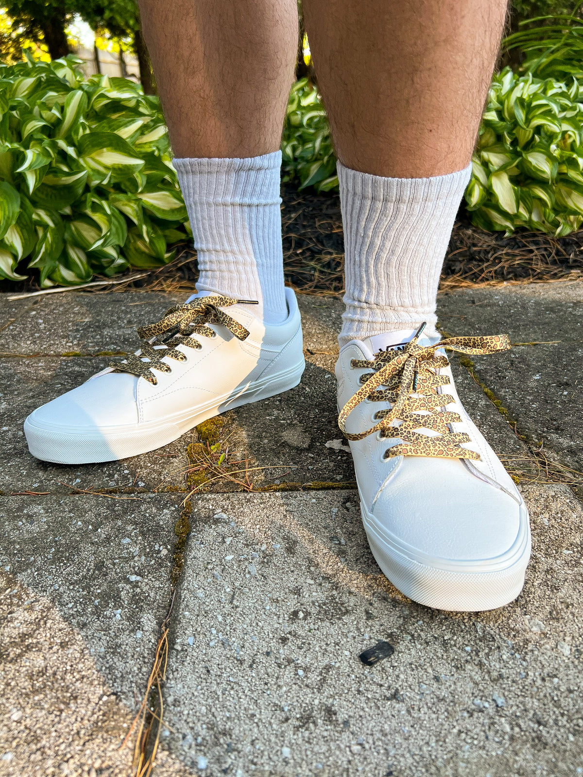 White sneakers with leopard print shoelaces worn on a concrete surface with greenery in the background