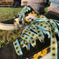 Sunflower Shoelaces | Flat Printed Shoelaces | 100% Recycled Materials | Adult & Kids Sizes