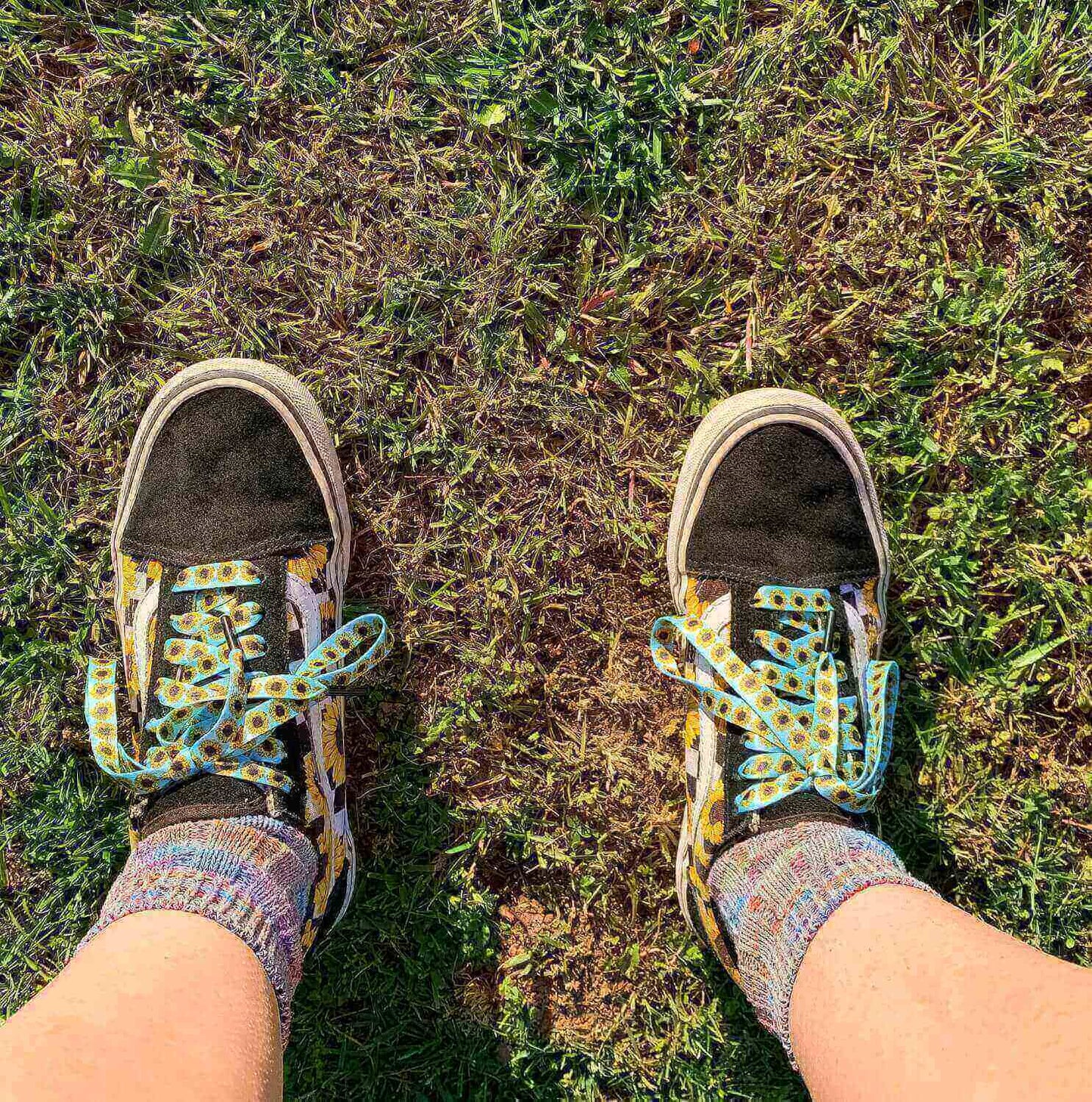 Sunflower Shoelaces | Flat Printed Shoelaces | 100% Recycled Materials | Adult & Kids Sizes